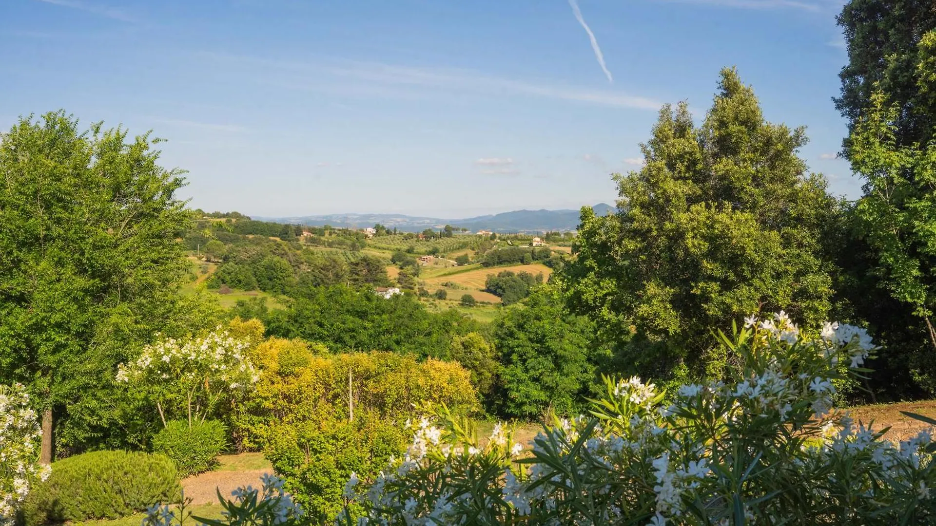Aparthotel Borgo Felciaione Riparbella 0*,